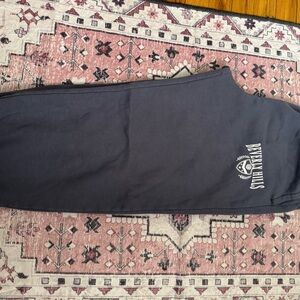 Hollister Navy Blue Track Pants
